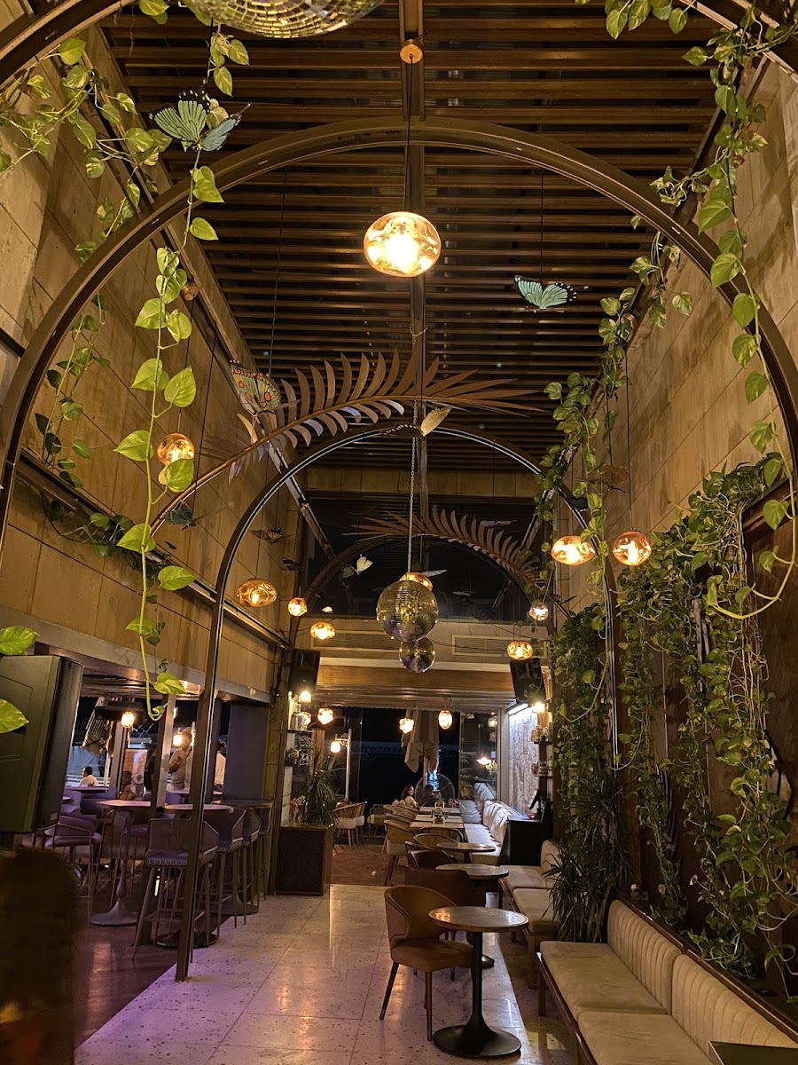Paradiso Palms Gastrobar